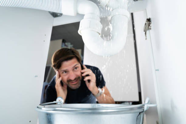 Best Plumbing Services Near Me  in Pulaski, NY